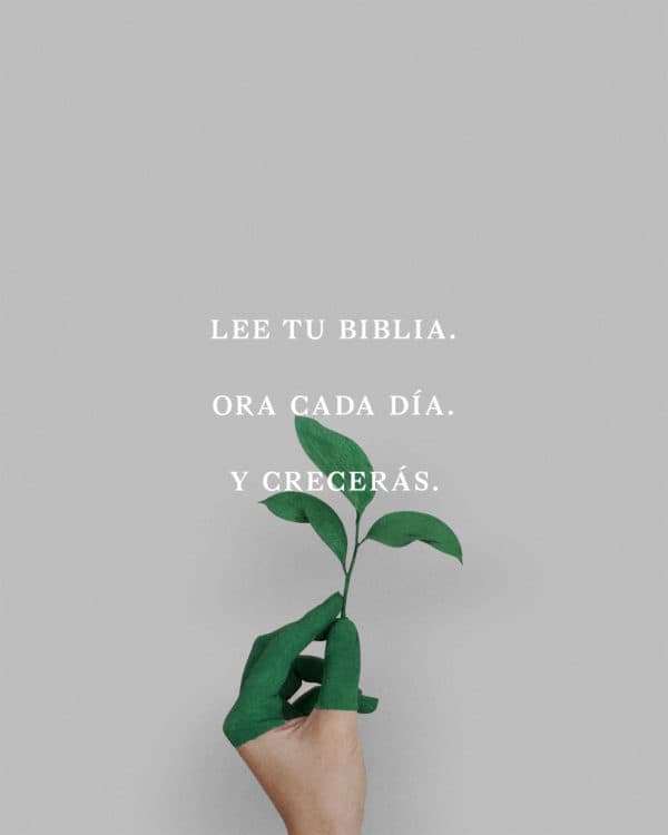 Lee tu Biblia. Ora cada día. Y crecerás.