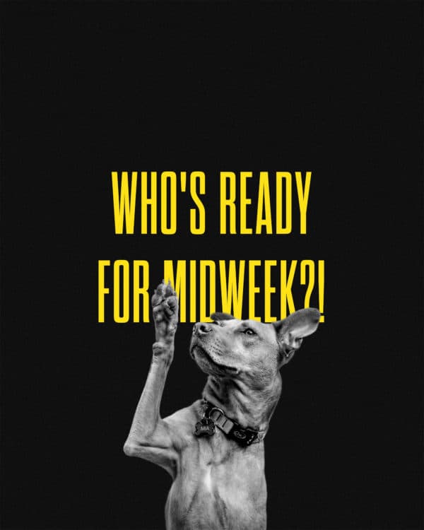 Who's ready for midweek?!