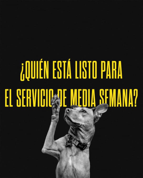 ¿Quién está listo para el servicio de media semana?