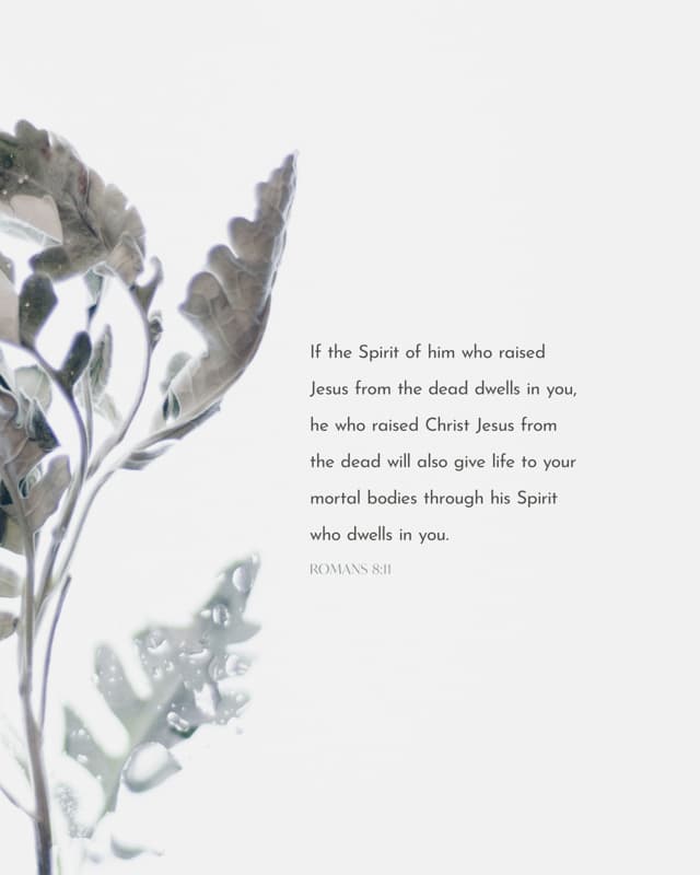 Scripture Posts