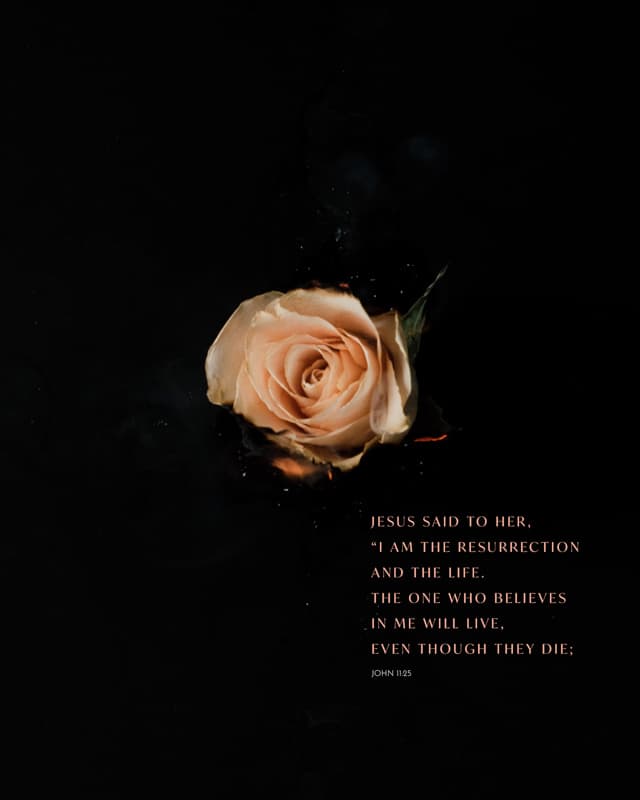 Scripture Posts