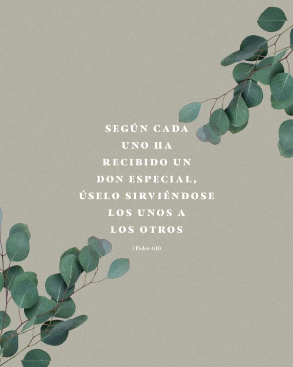 Según cada uno ha recibido un don especial, úselo sirviéndose los unos a los otros - 1 Pedro 4:10