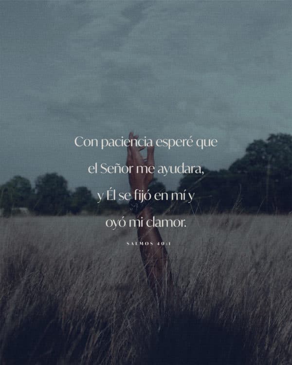 Con paciencia esperé que el Señor me ayudara, y Él se fijó en mí y oyó mi clamor. - Salmos 40:1