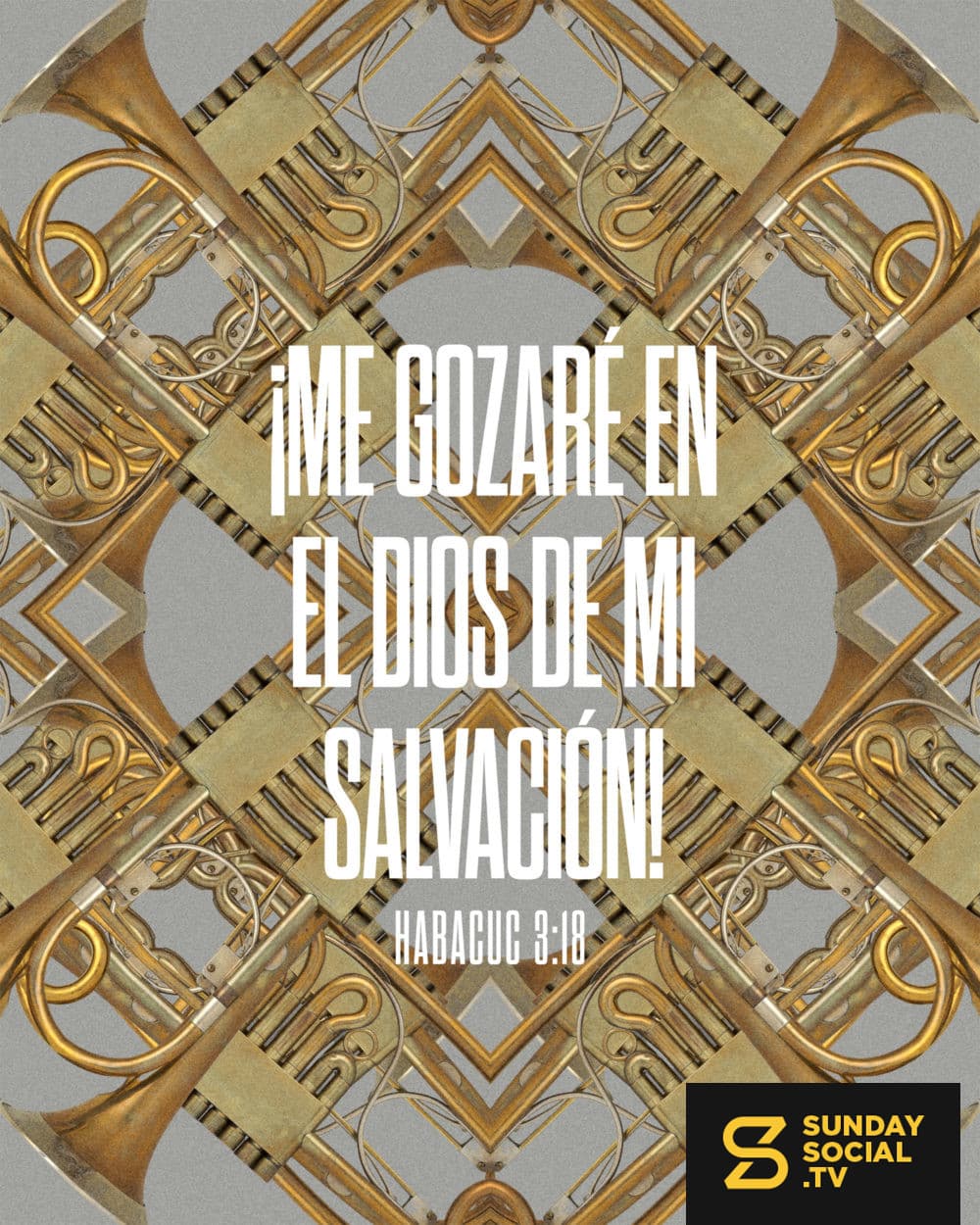 ¡Me gozaré en el Dios de mi salvación! - Habacuc 3:18