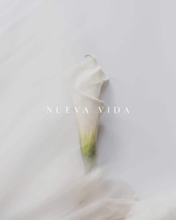 Nueva Vida