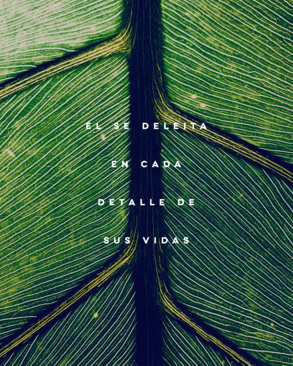 Él se deleita en cada detalle de sus vidas.