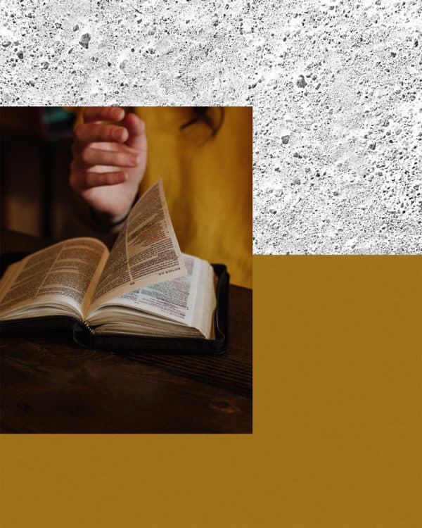 La Biblia