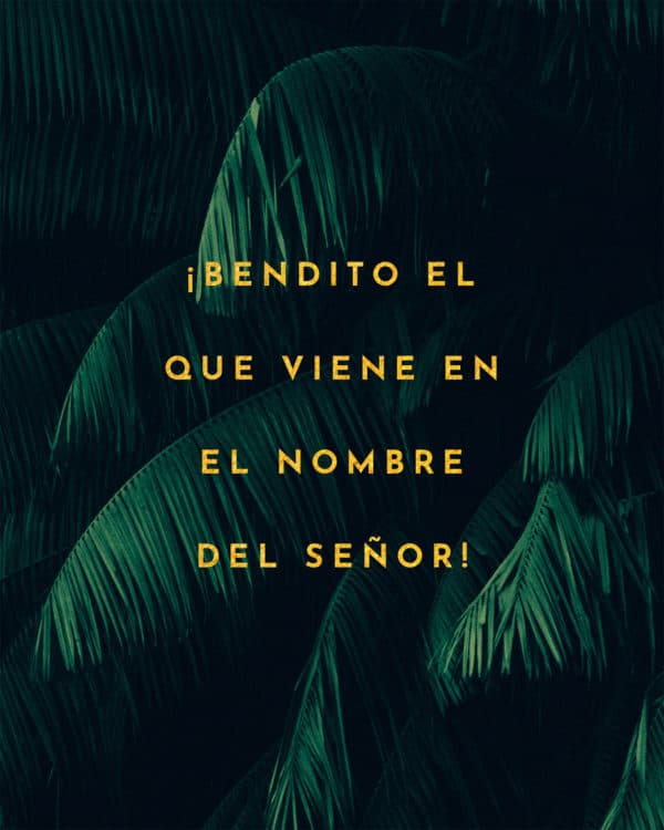 ¡Bendito el que viene en el nombre del Señor!