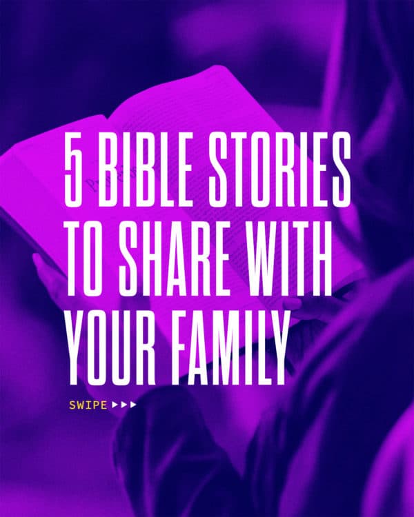 5 Bible Stories to Share with Your Family: Noah and the Ark - Genesis 7 David and Goliath - 1 Samuel 17 Daniel and the Lions Den - Daniel 6 Good Samaritan - Luke 10:25-37 Jesus Feeds the Five Thousand - Matthew 14:13-21