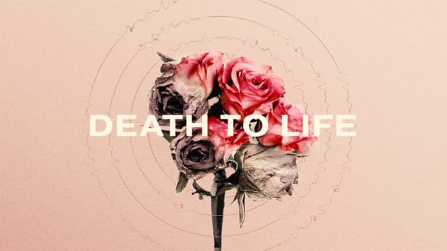 Death to Life