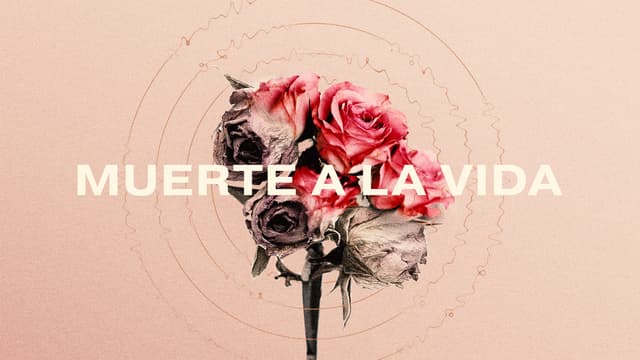 Muerte a la Vida