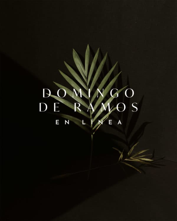 Domingo de Ramos en línea