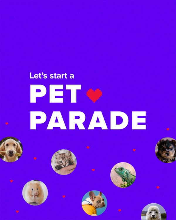 Let's start a pet parade
