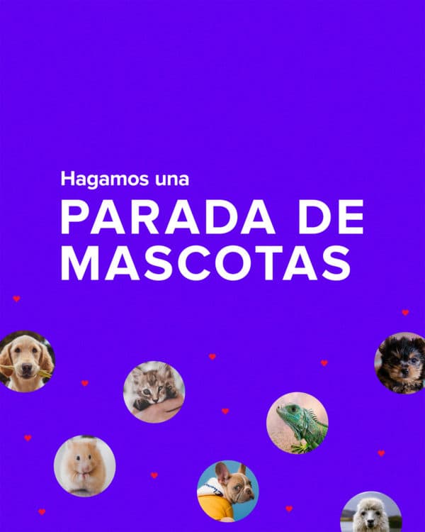 Hagamos una parada de mascotas