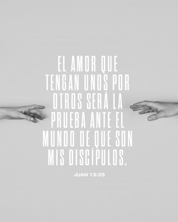 El amor que tengan unos por otros será la prueba ante el mundo de que son mis discípulos - Juan 13:35