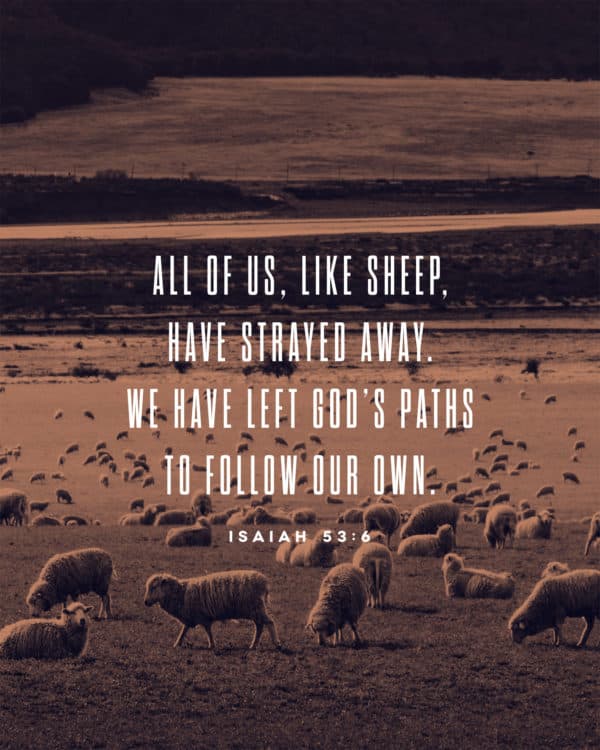 All of us, like sheep, have strayed away. We have left God’s paths to follow our own. - Isaiah 53:6