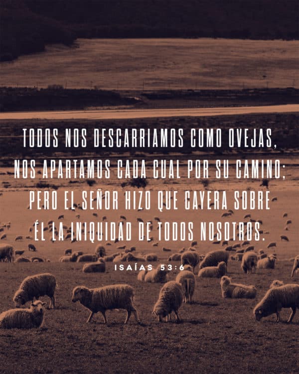 Todos nos descarriamos como ovejas, nos apartamos cada cual por su camino; pero el Señor hizo que cayera sobre Él la iniquidad de todos nosotros. - Isaías 53:6
