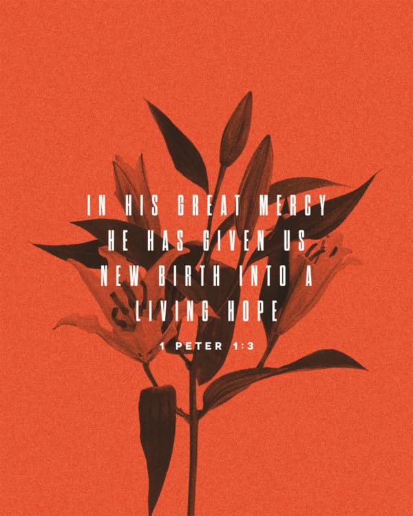 In his great mercy he has given us new birth into a living hope. - 1 Peter 1:3