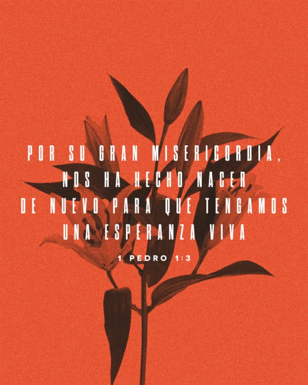 Por su gran misericordia, nos ha hecho nacer de nuevo para que tengamos una esperanza viva . - 1 Pedro 1:3