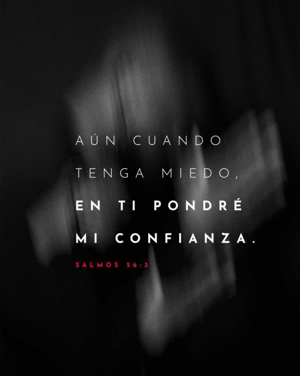 Aún cuando tenga miedo, en ti pondré mi confianza. - Salmo 56:3
