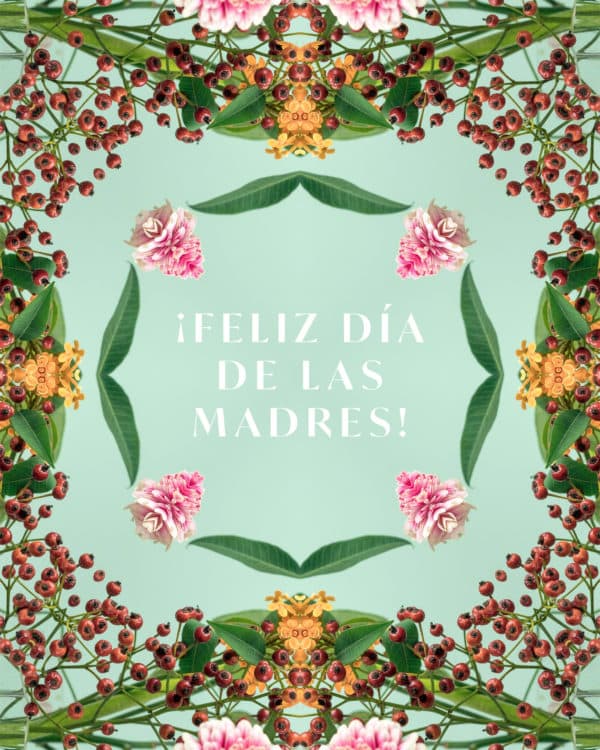 ¡Feliz día de las madres!