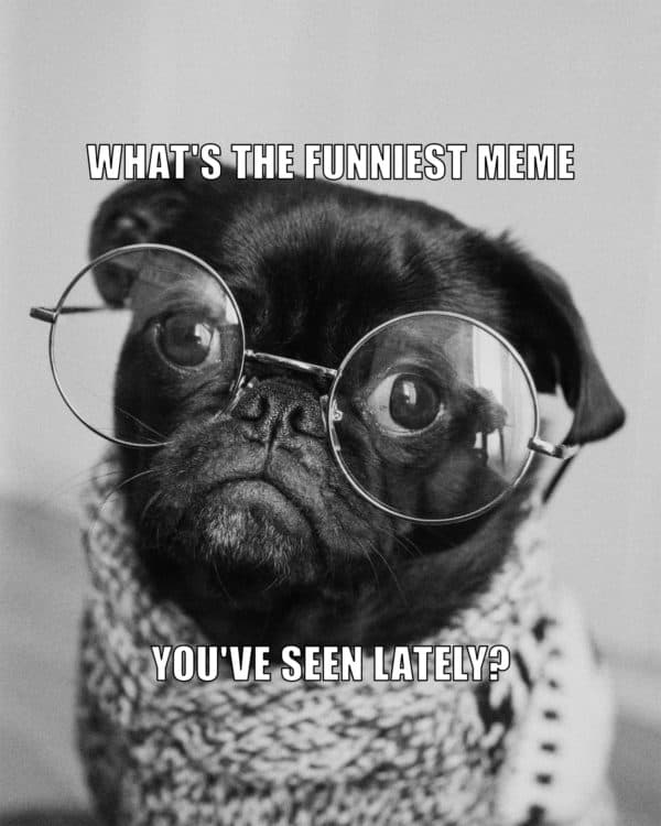 What's the funniest meme you've seen lately?