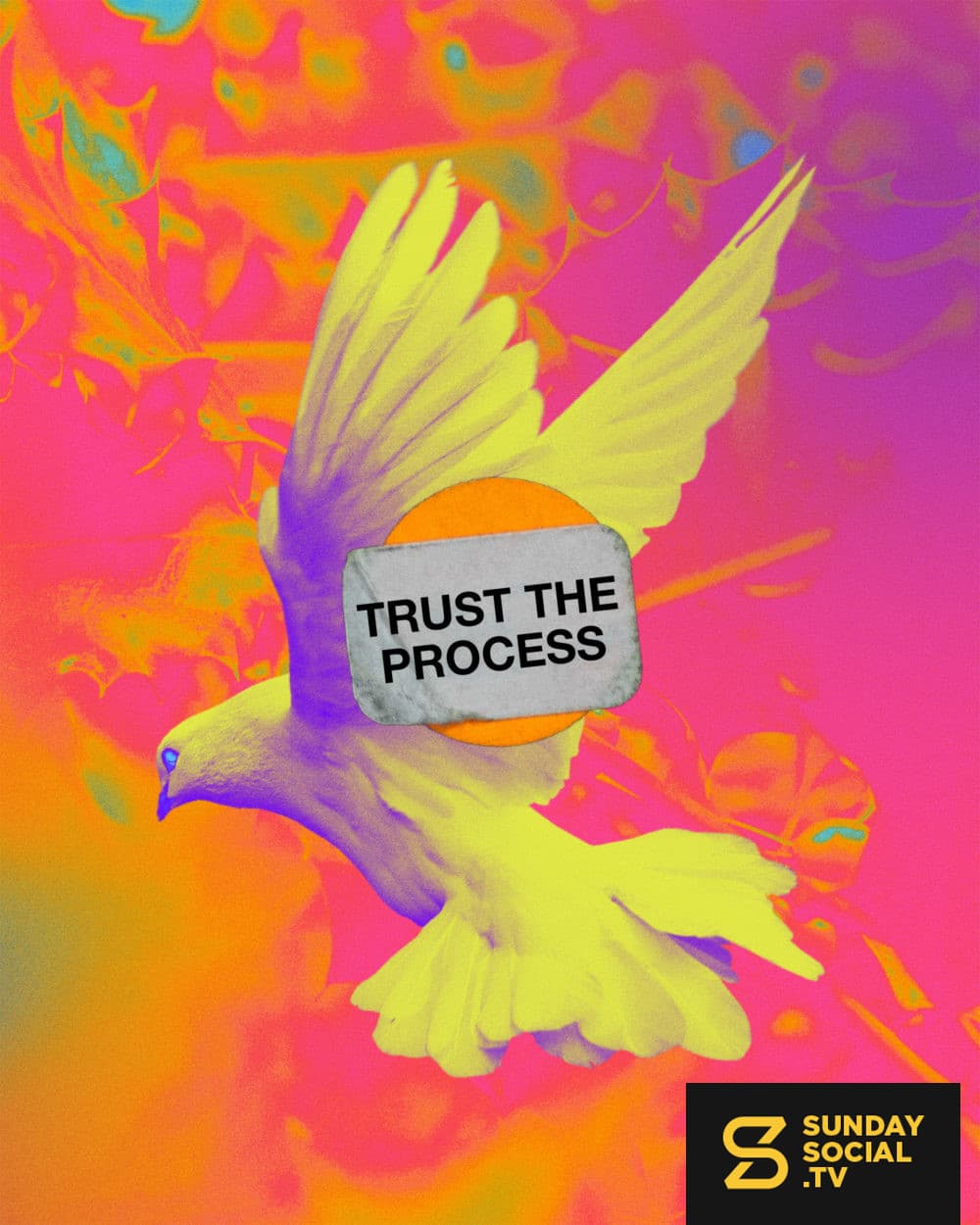 Trust the process