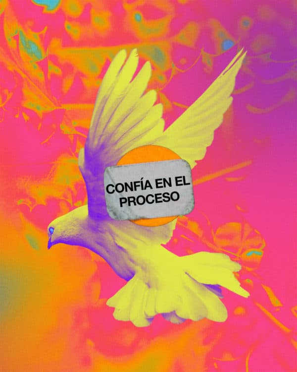 Confía en el proceso