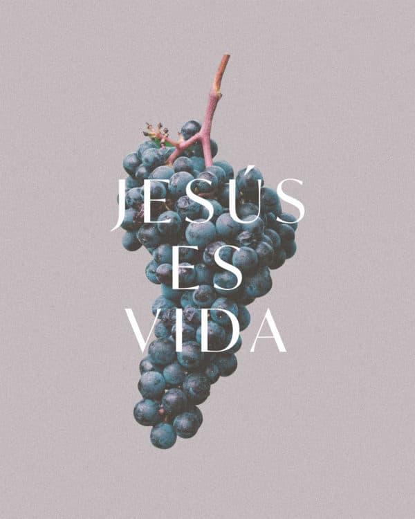 Jesús es vida