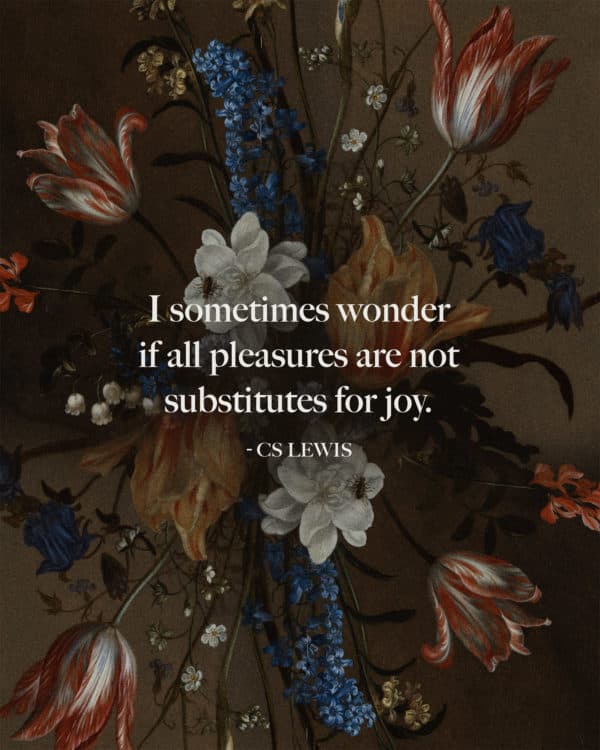 I sometimes wonder if all pleasures are not substitutes for joy. - CS Lewis
