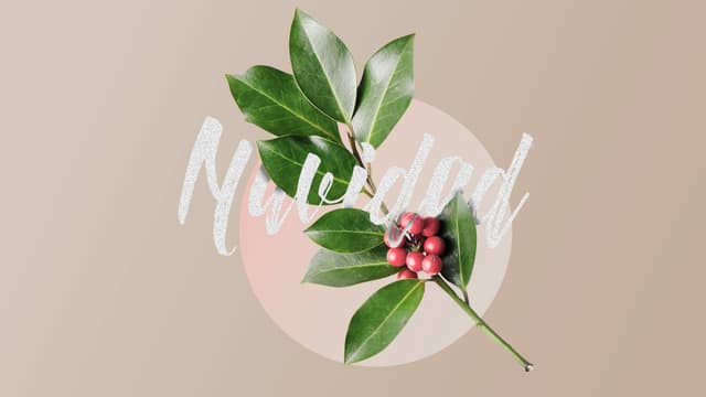 Navidad