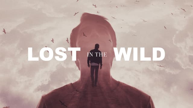 Lost in the Wild