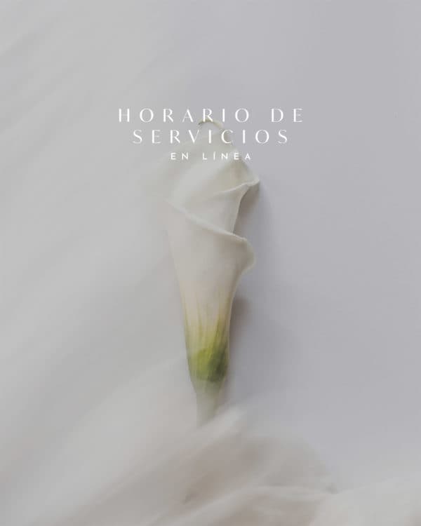 Horario de Servicios en Línea
