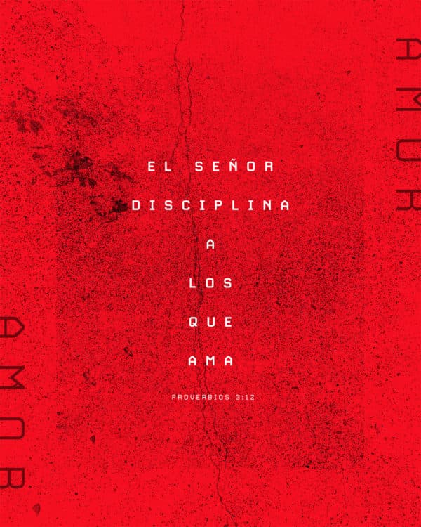 El SEÑOR disciplina a los que ama. - Proverbios 3:12