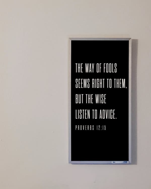 The way of fools seems right to them, but the wise listen to advice. - Proverbs 12:15