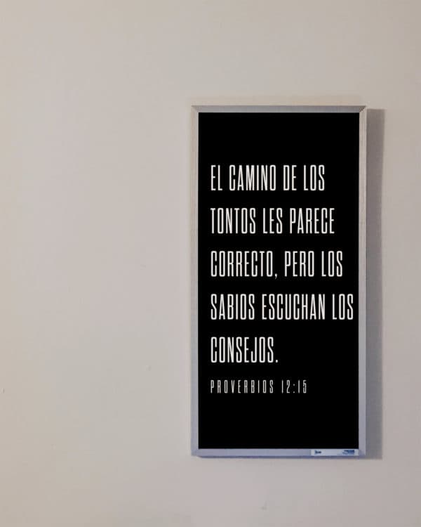 El camino de los tontos les parece correcto, pero los sabios escuchan los consejos. - Proverbios 12:15