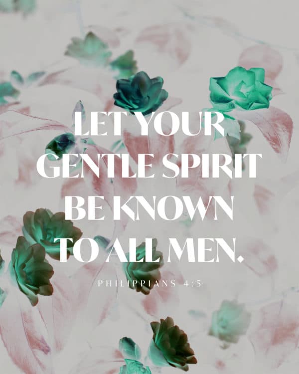 Let your gentle spirit be known to all men. - Philippians 4:5
