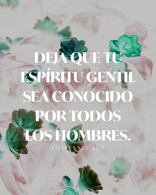 Deja que tu espíritu gentil sea conocido por todos los hombres. - Filipenses 4: 5
