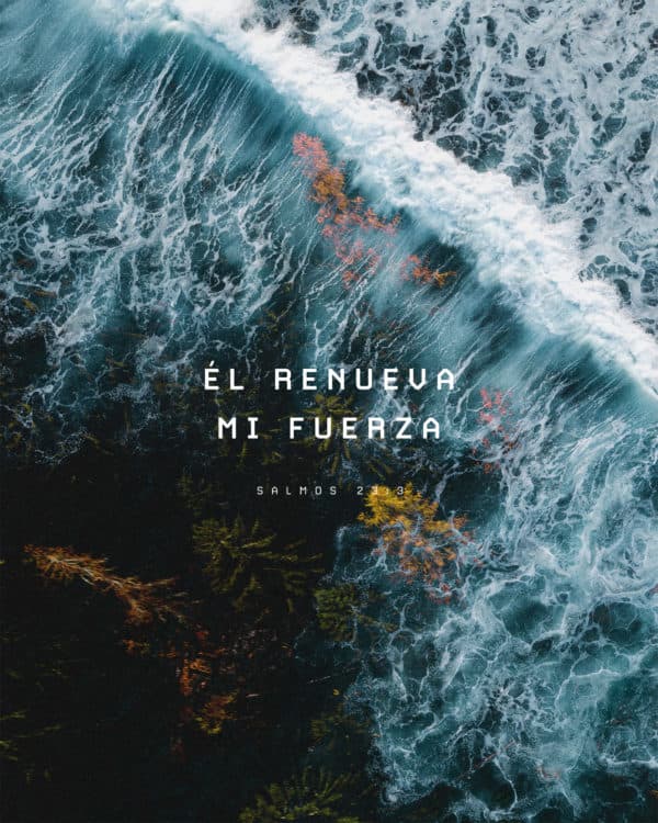 Él renueva mi fuerza. - Salmos 23:3