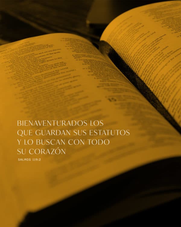 Bienaventurados los que guardan sus estatutos y lo buscan con todo su corazón. - Salmos 119:2
