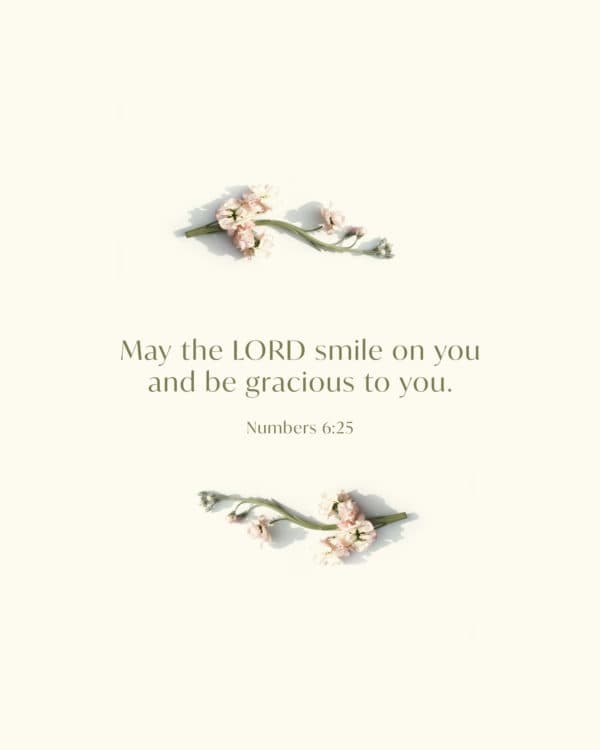 May the LORD smile on you and be gracious to you. - Numbers 6:25
