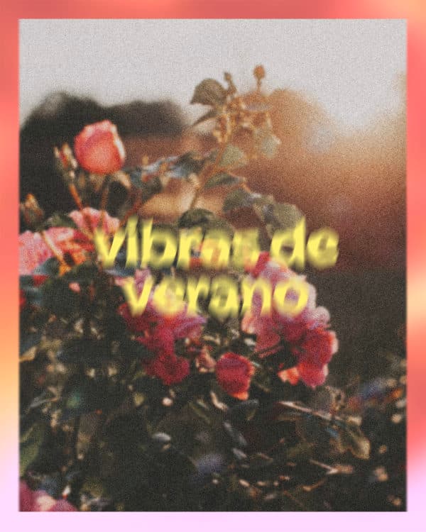 Vibras de verano