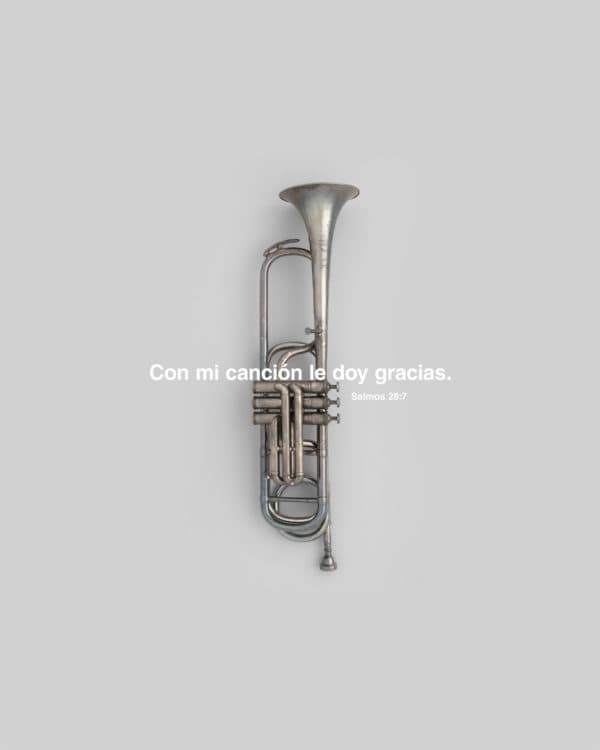 Con mi canción le doy gracias. - Salmos 28:7