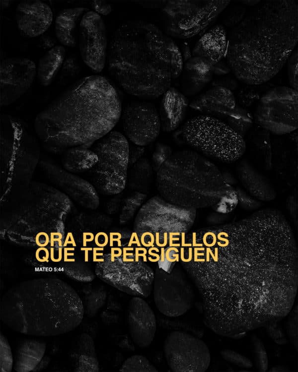 Ora por aquellos que te persiguen. - Mateo 5:44