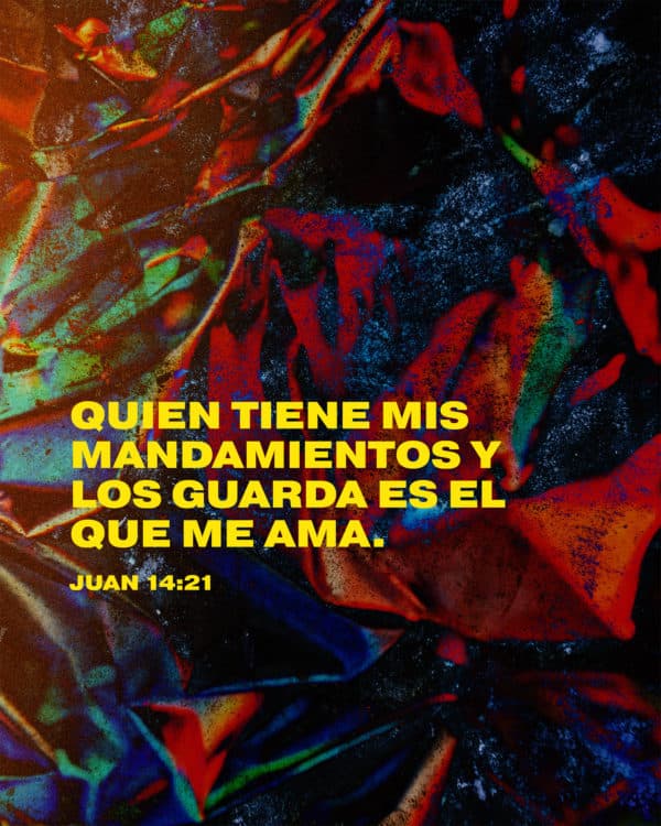 Quien tiene mis mandamientos y los guarda es el que me ama. - Juan 14:21