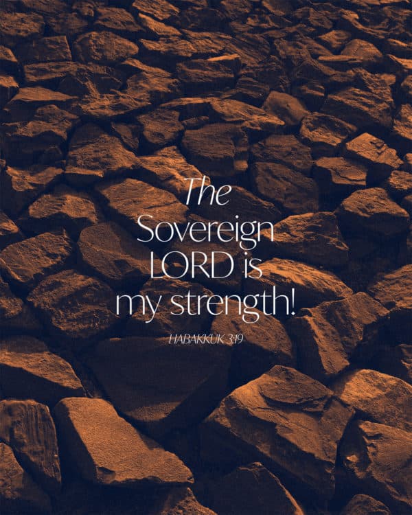 The Sovereign LORD is my strength! - Habakkuk 3:19