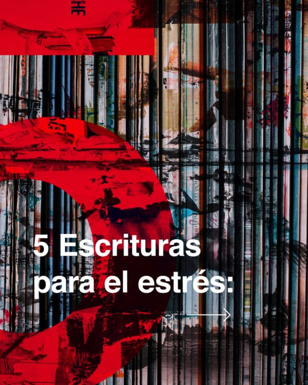 5 Escrituras para el estrés: 1. No se preocupen por nada; en cambio, oren por todo. Díganle a Dios lo que necesitan y denle gracias por todo lo que Él ha hecho. Filipenses 4: 6 | 2. Entrégale tus cargas al Señor, y Él cuidará de ti; no permitirá que los justos tropiecen y caigan. Salmos 55:22 | 3. “Vengan a mí, todos ustedes que están cansados ​​y llevan cargas pesadas, y les daré descanso. - Mateo 11:28 | 4. Esta es mi orden: ¡sé fuerte y valiente! No tengas miedo ni te desanimes. Porque el Señor tu Dios está contigo dondequiera que vayas. - Josué 1: 9 | 5. No tengas miedo, porque yo estoy contigo; no te desalientes, porque yo soy tu Dios. Te daré fuerzas y te ayudaré; te sostendré con mi mano derecha victoriosa. - Isaías 41:10