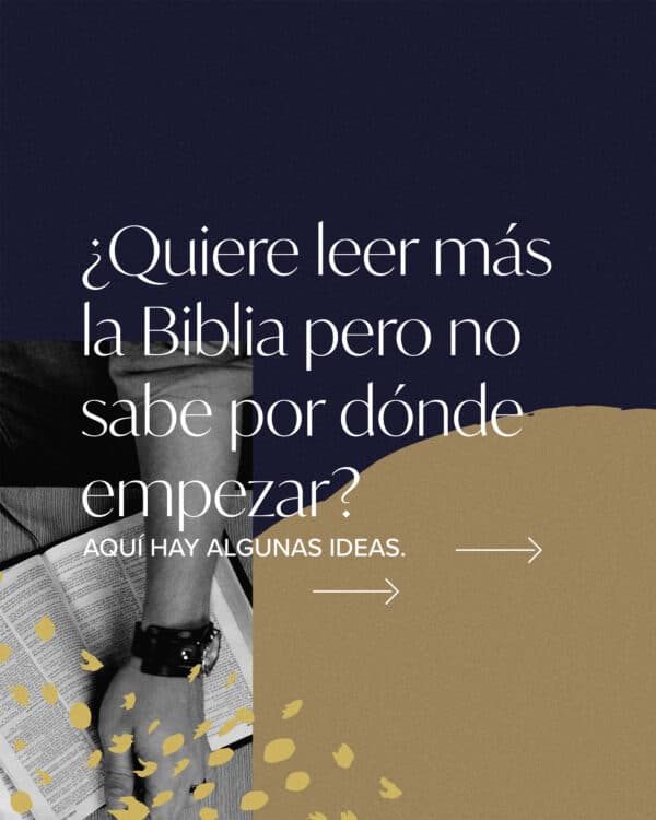 ¿Quiere leer más la Biblia pero no sabe por dónde empezar? Aquí hay algunas ideas. (1) Mantenga una Biblia en el auto. Llegue temprano al trabajo y lea un poco. (2) Obtenga la Biblia en el audiolibro y escuche mientras conduce. (3) Comience con el Proverbio del día. Si es el quinto del mes, lea Proverbios 5. (4) Comience en el Nuevo Testamento: Mateo. Algunas veces el Antiguo Testamento puede desalentar a los nuevos lectores de la Biblia.
