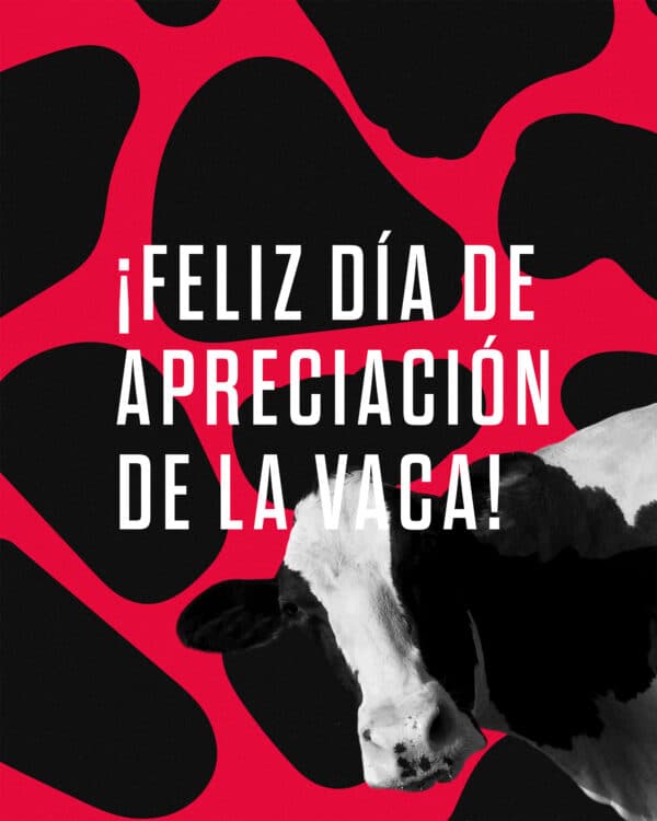 ¡Feliz Día de Apreciación de la Vaca!