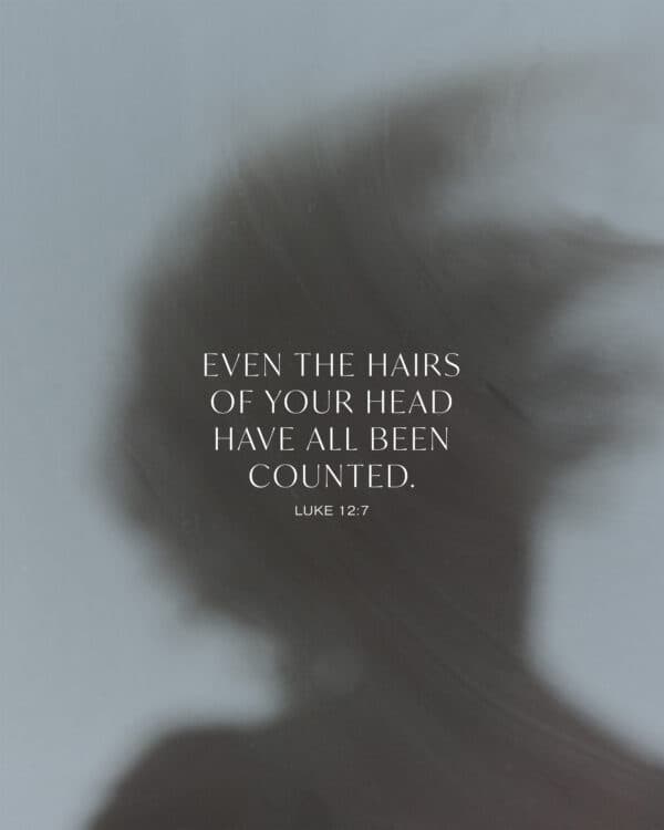 Even the hairs of your head have all been counted. - Luke 12:7